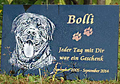 Tiergrabstein Tiergrabstein mit eingraviearten Hund